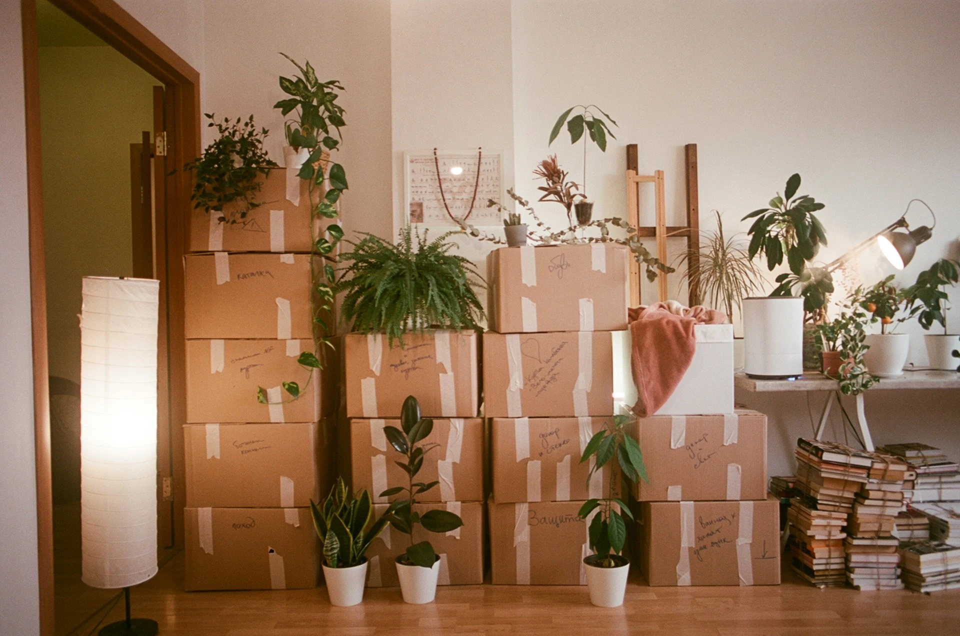 Équipe de déménagement préparant une soumission